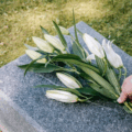 A Tapestry of Traditions Exploring Diverse Funeral Ceremonies in KL